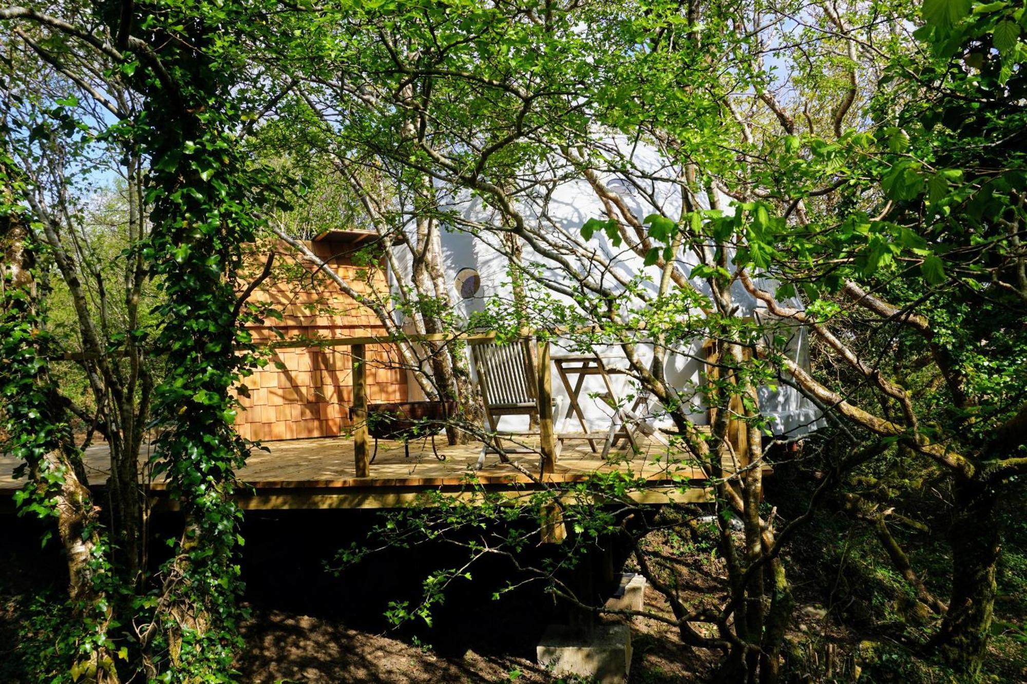Вілла Fernwood Кліфден Номер фото